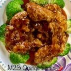 Best M23. Orange Seitan in South Bend, IN